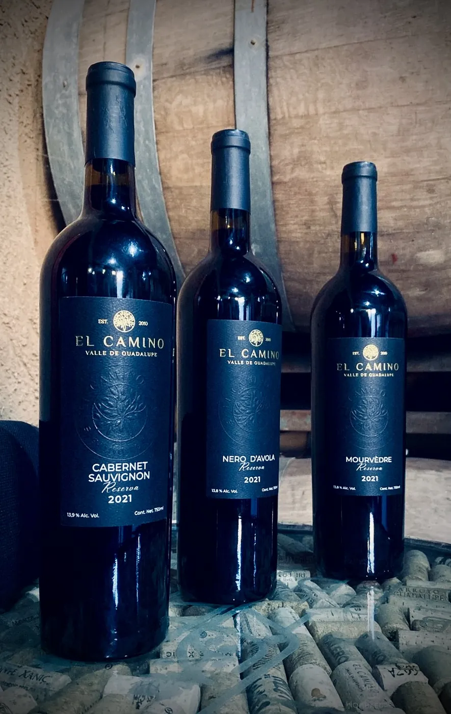 Vinos Reserva 2021 de El Camino