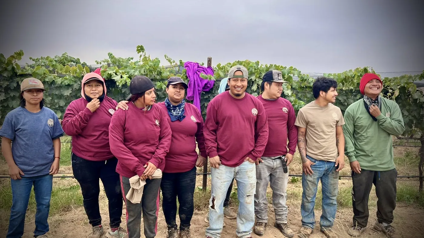 Equipo de cosecha de Bodegas El Camino