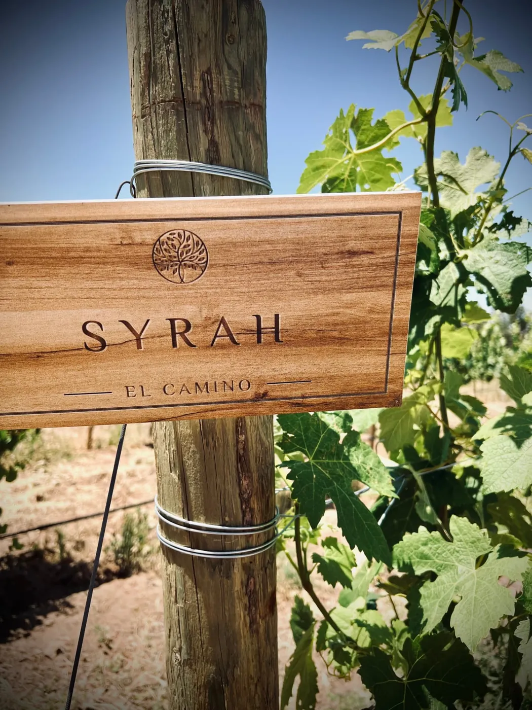 Letrero de Syrah